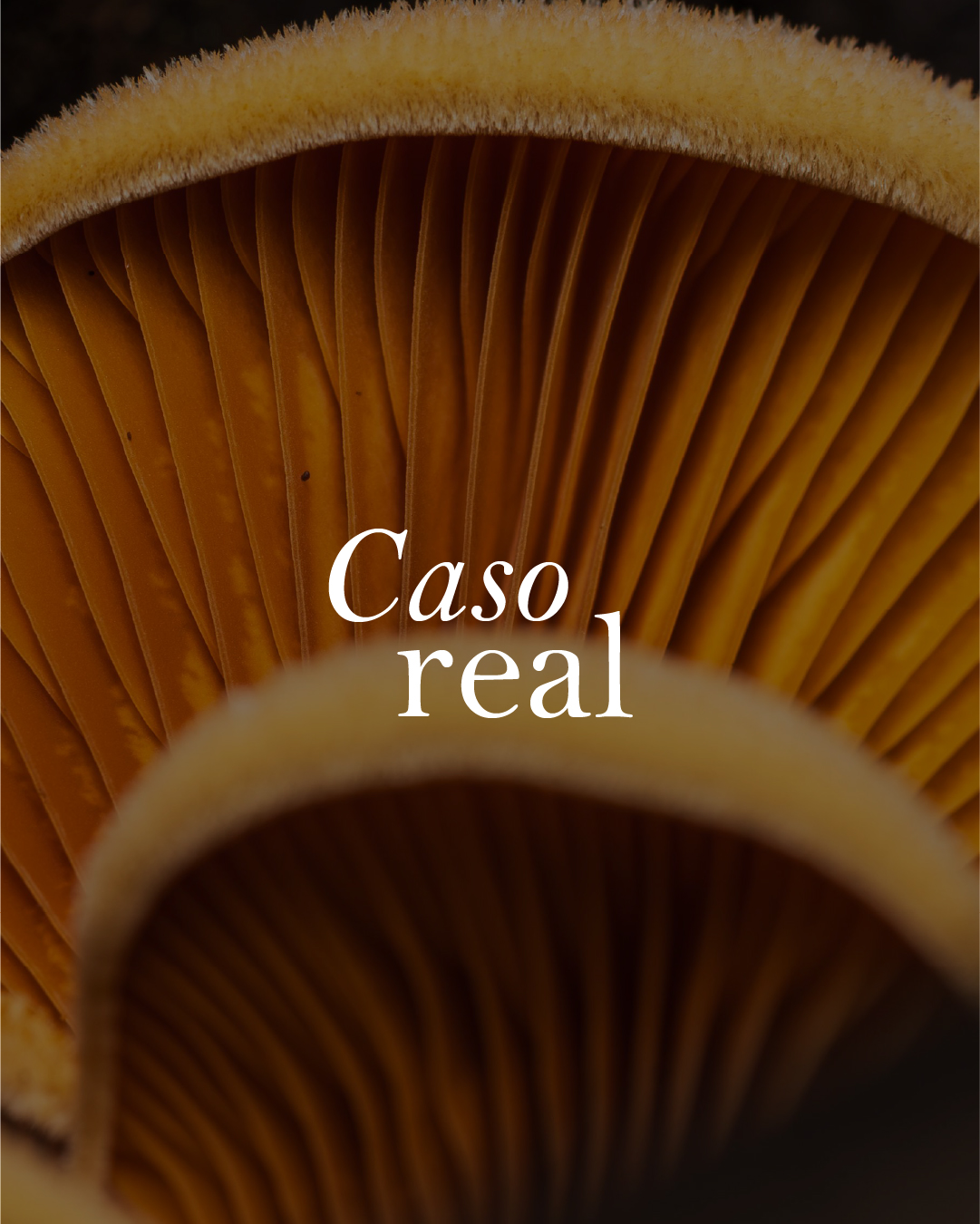Caso real